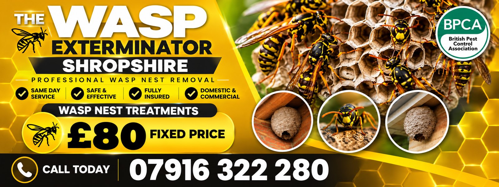 Wasp Exterminator Shropshire, professional wasp nest removal, same day service, £80 fixed price, call 07916 322 280