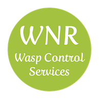 wasp exterminator shropshire